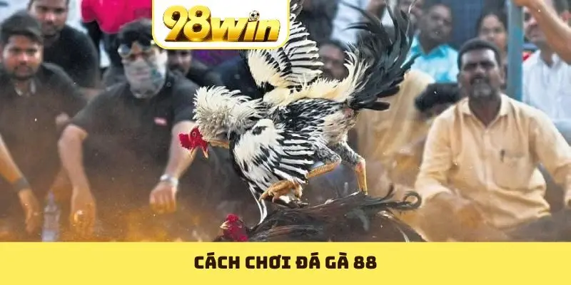 Đá Gà 88