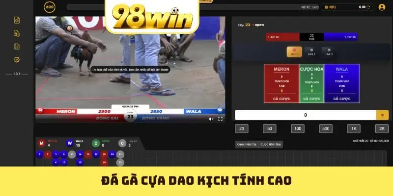 Đá gà cựa dao kịch tính cao