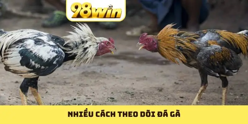 Nhiều cách theo dõi đá gà