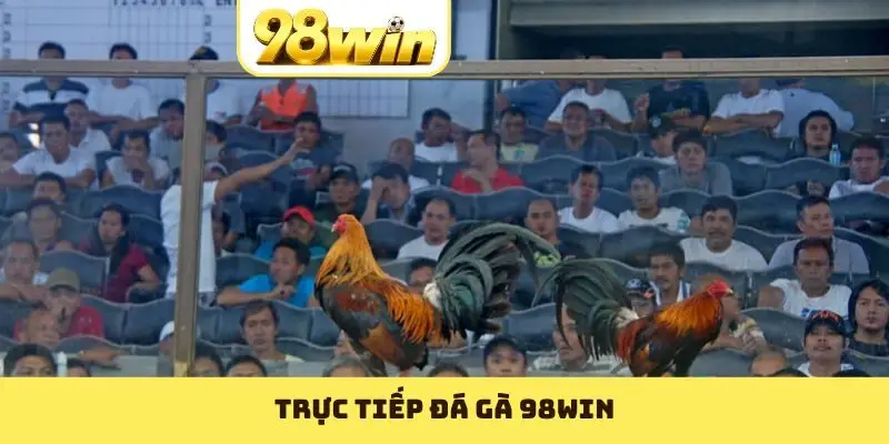 Trực Tiếp Đá Gà