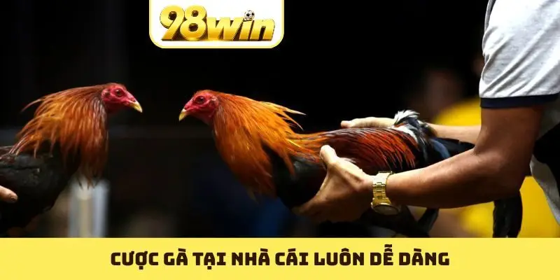 Cược gà tại nhà cái luôn dễ dàng